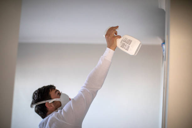 Best Crawl Space Mold Removal  in Tuscumbia, AL