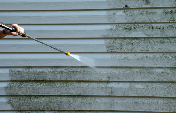 Mold Testing and Removal in Tuscumbia, AL