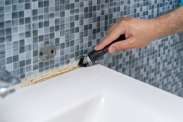 Best Mold Removal Company Near Me  in Tuscumbia, AL