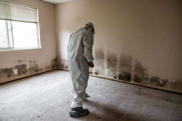 Best Toxic Mold Removal  in Tuscumbia, AL