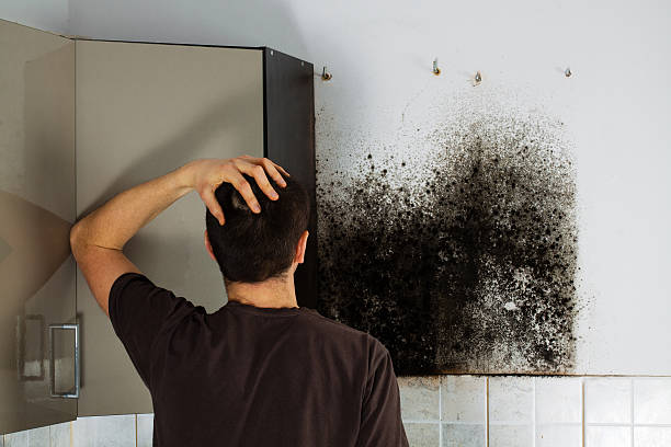 Best Mold Cleaning Services  in Tuscumbia, AL